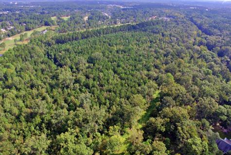 0 Hitching Post Lane Summerville SC 29483