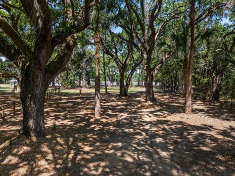 8958 Sandy Creek Road Edisto Island SC 29438