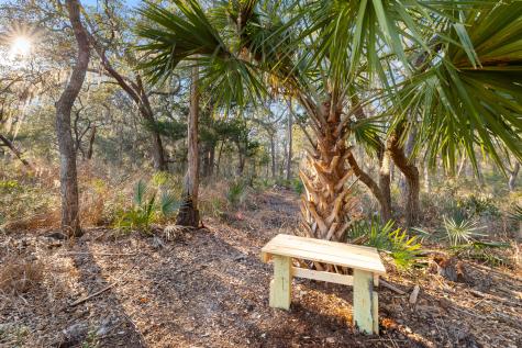 45 S Huspah Court Seabrook SC 29940