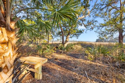 45 S Huspah Court Seabrook SC 29940