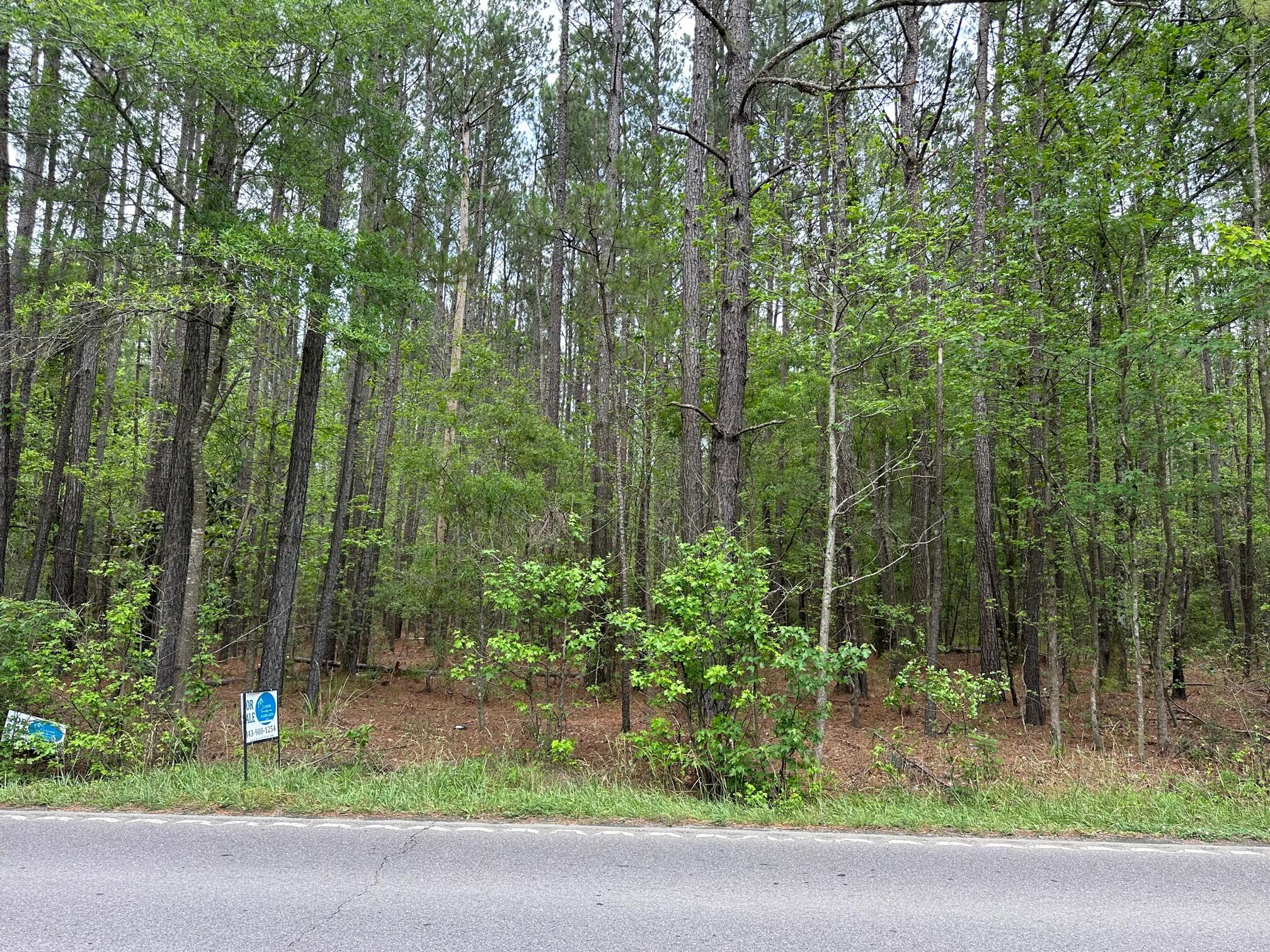 04 Mallard Road Summerville SC 29483