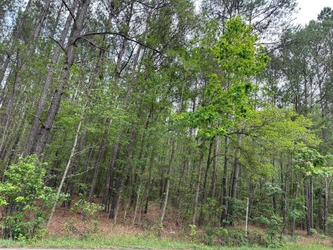 04 Mallard Road Summerville SC 29483
