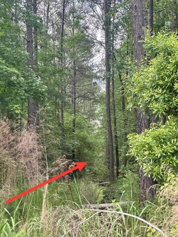 0 Highway 176 Moncks Corner SC 29461