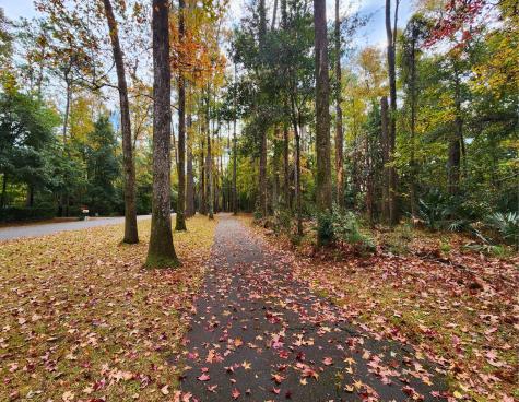 141 Bull Point Drive Seabrook SC 29940