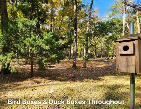 141 Bull Point Drive Seabrook SC 29940
