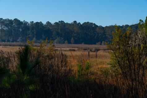 0 Rushland Landing Road Johns Island SC 29455