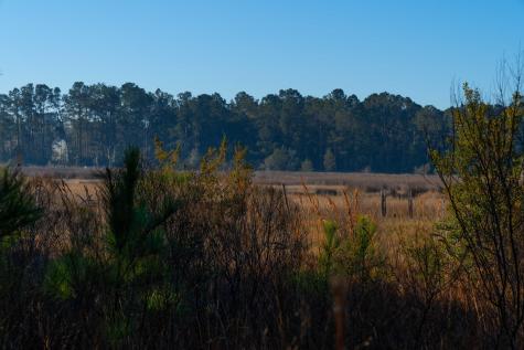0 Rushland Landing Road Johns Island SC 29455