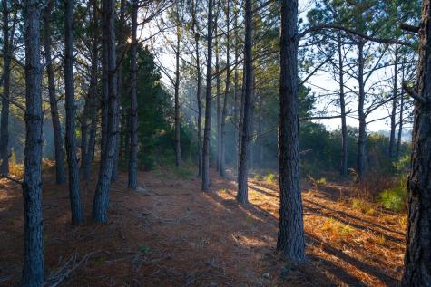 0 Rushland Landing Road Johns Island SC 29455