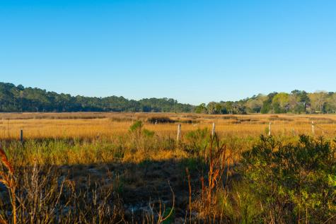 0 Rushland Landing Road Johns Island SC 29455