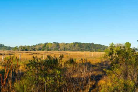 0 Rushland Landing Road Johns Island SC 29455