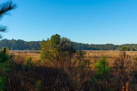 0 Rushland Landing Road Johns Island SC 29455