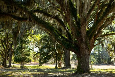 5 Mauricena Road Georgetown SC 29440