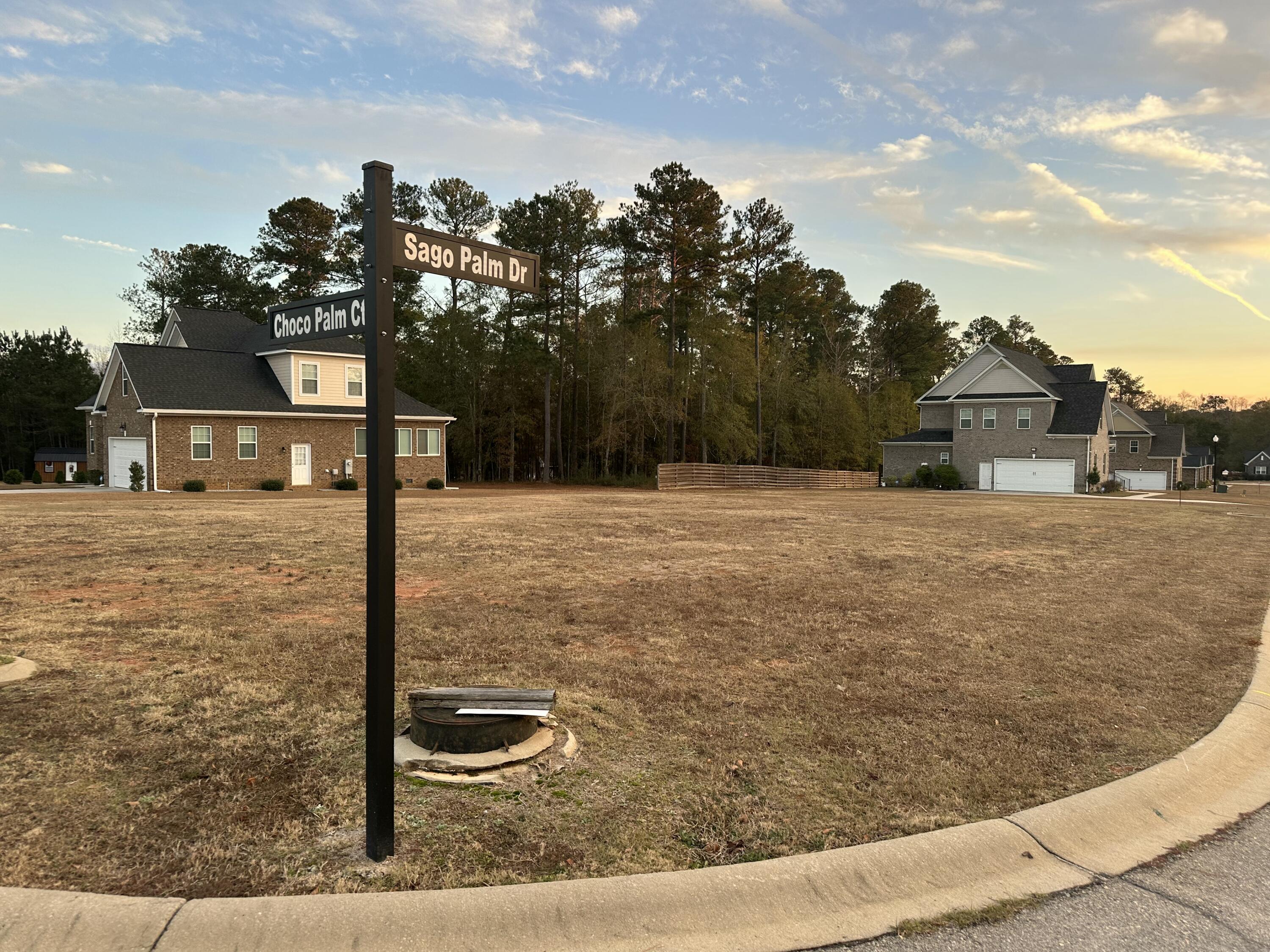 201 Sago Palm Drive Orangeburg SC 29118
