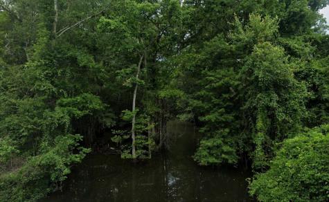0 Highway 78 (w 5th North Street) Summerville SC 29483