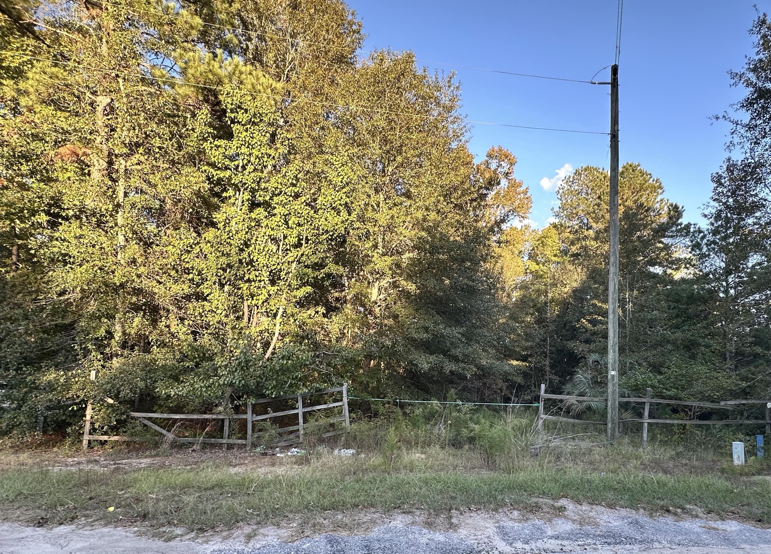 214 Sparklewood Drive Orangeburg SC 29115