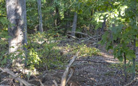0 Chandler Road Greer SC 29651