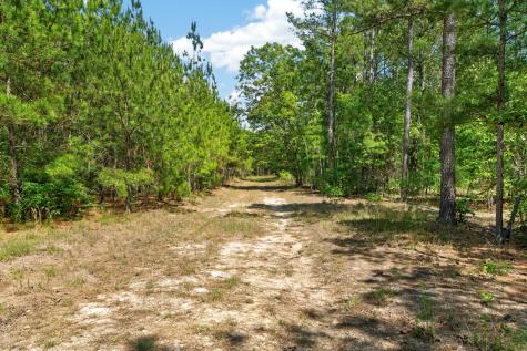 5120 N Brewington Road Manning SC 29102