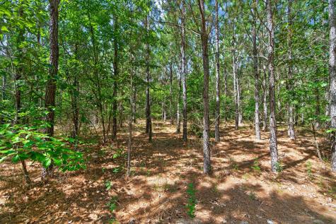 5120 N Brewington Road Manning SC 29102
