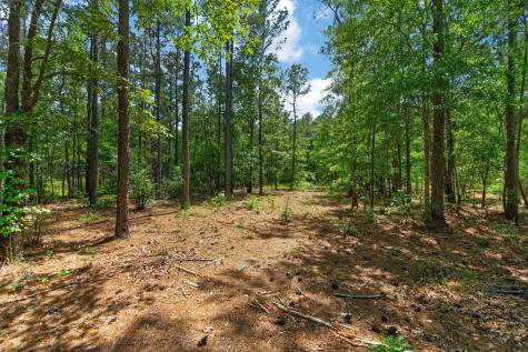 5120 N Brewington Road Manning SC 29102