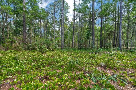 5120 N Brewington Road Manning SC 29102