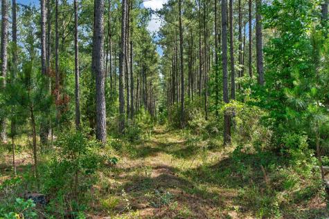 5120 N Brewington Road Manning SC 29102