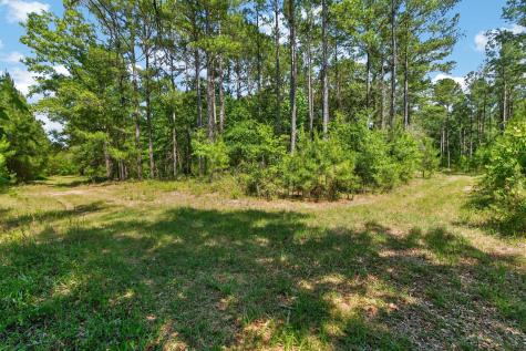 5120 N Brewington Road Manning SC 29102