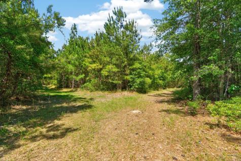 5120 N Brewington Road Manning SC 29102