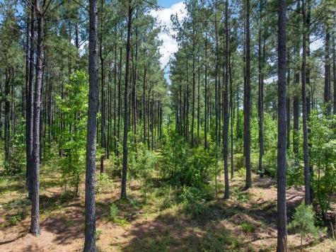 5120 N Brewington Road Manning SC 29102