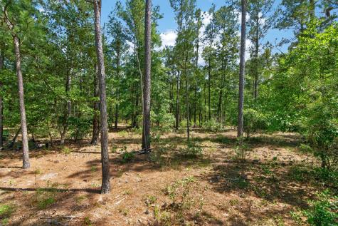 5120 N Brewington Road Manning SC 29102