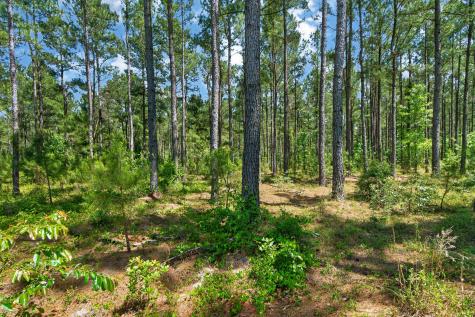 5120 N Brewington Road Manning SC 29102