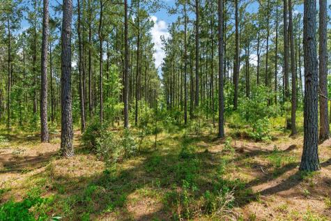 5120 N Brewington Road Manning SC 29102