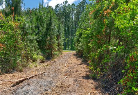 5120 N Brewington Road Manning SC 29102
