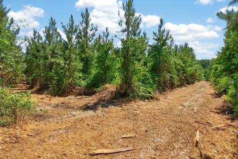 5120 N Brewington Road Manning SC 29102