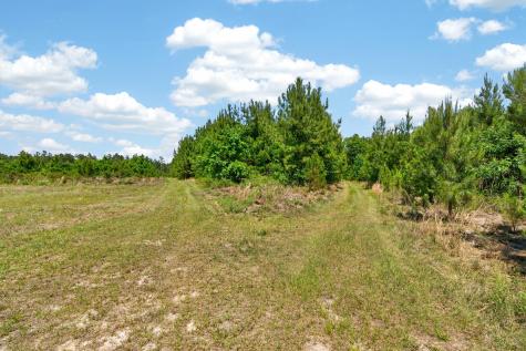 5120 N Brewington Road Manning SC 29102