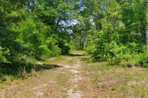 5120 N Brewington Road Manning SC 29102