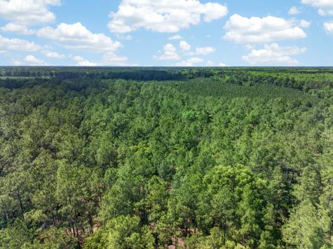 5120 N Brewington Road Manning SC 29102