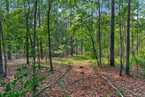 5120 N Brewington Road Manning SC 29102