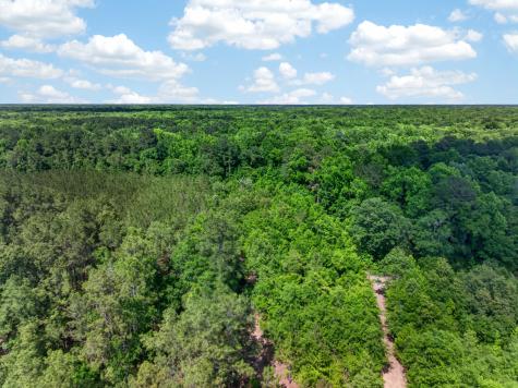5120 N Brewington Road Manning SC 29102