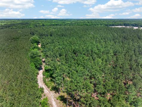 5120 N Brewington Road Manning SC 29102