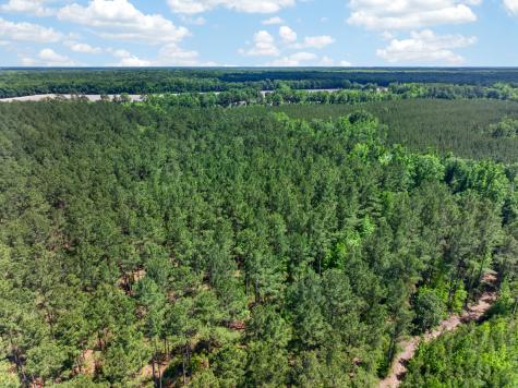 5120 N Brewington Road Manning SC 29102