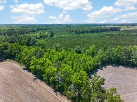 5120 N Brewington Road Manning SC 29102