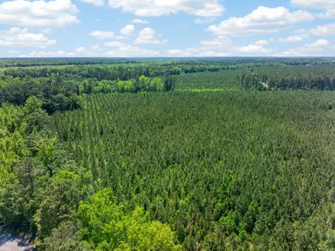 5120 N Brewington Road Manning SC 29102