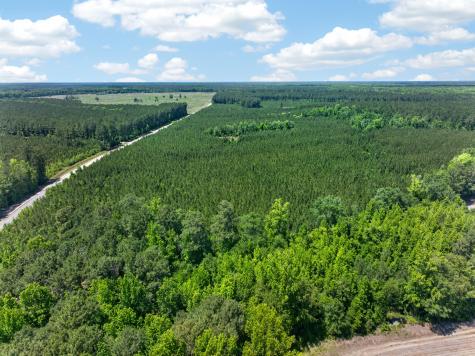 5120 N Brewington Road Manning SC 29102