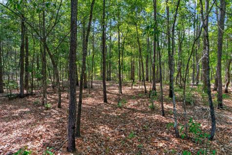 5120 N Brewington Road Manning SC 29102