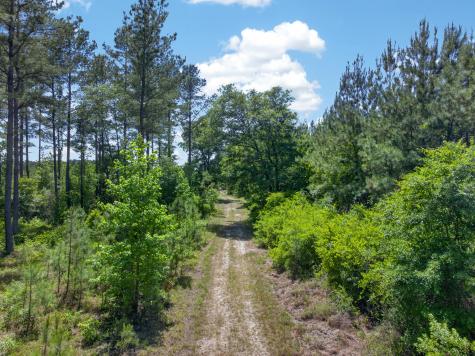 5120 N Brewington Road Manning SC 29102