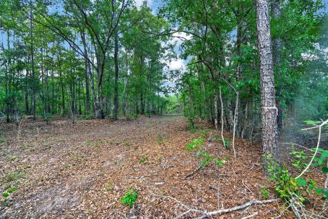 5120 N Brewington Road Manning SC 29102