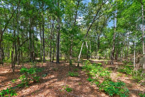 5120 N Brewington Road Manning SC 29102