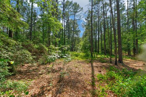 5120 N Brewington Road Manning SC 29102