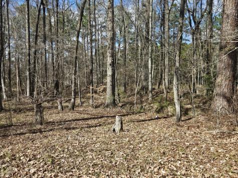 271 Winningham Road Summerville SC 29483
