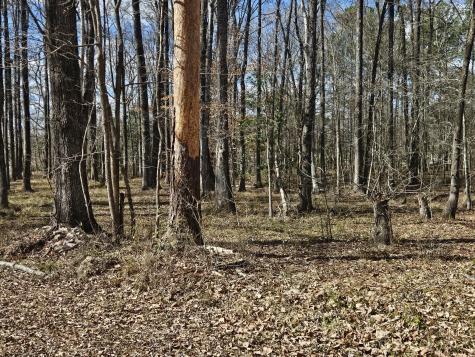 271 Winningham Road Summerville SC 29483